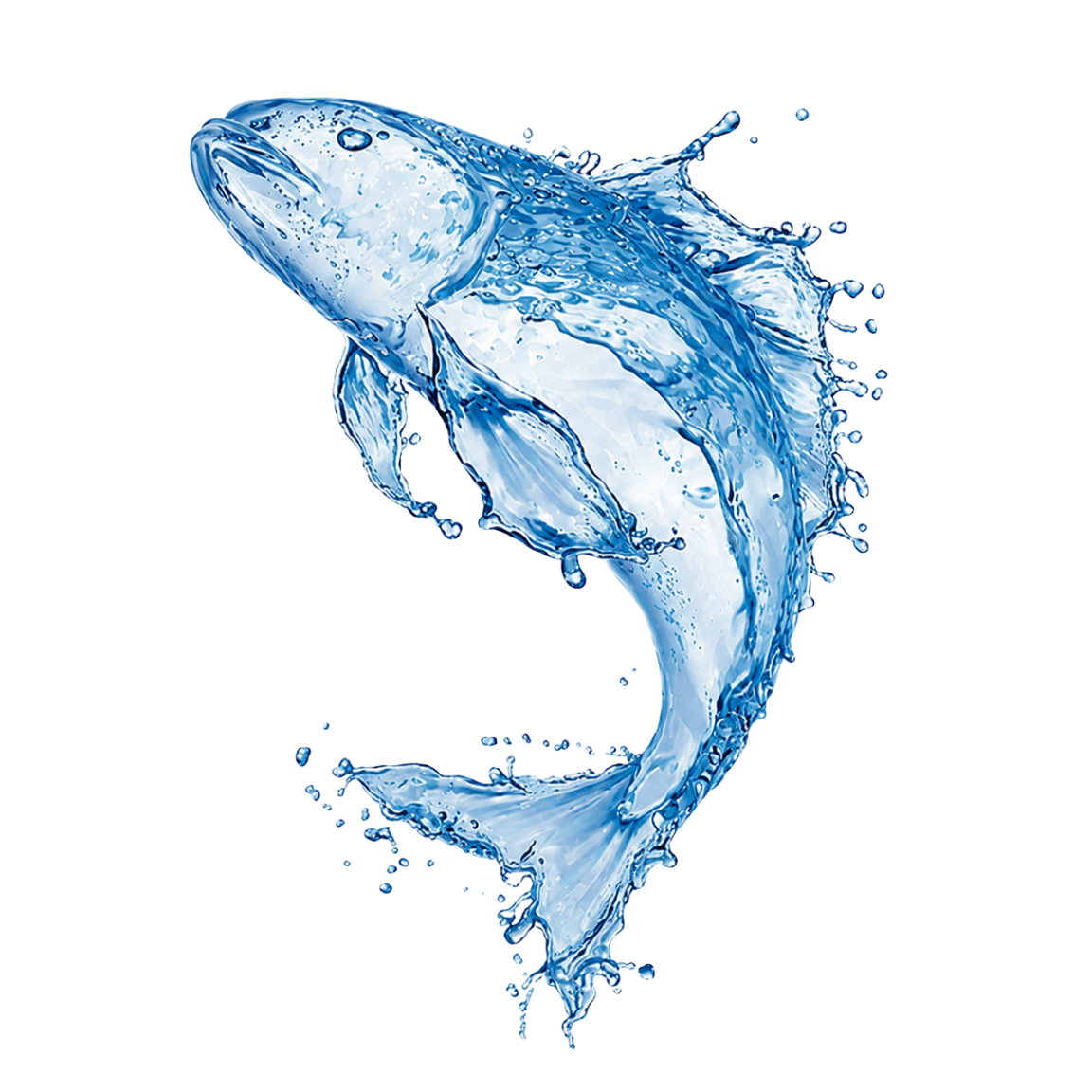 Illustrated fish leaping through a water splash